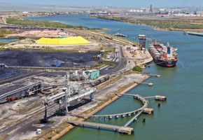 drybulk-1