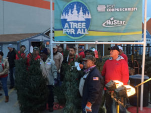 Waiting with trees for our neighbors - Tree for All 2015